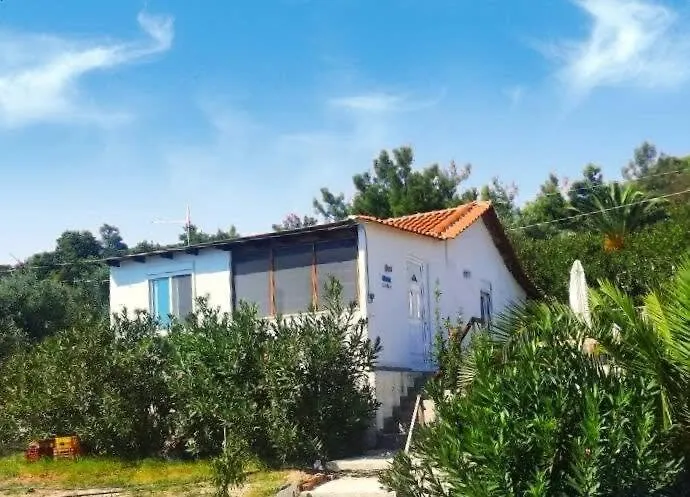 Thasos Seaside Serenity - Seaview & Garden Nests 公寓 阿斯特里斯