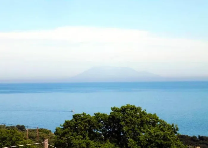 公寓 Thasos Seaside Serenity - Seaview & Garden Nests 阿斯特里斯